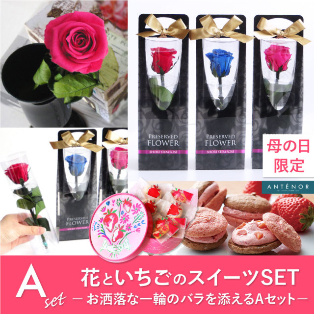 母の日予約 プリザーブドフラワーといちごのスイーツセット A ショートステム アンテノール Antenor