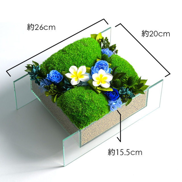 viv-mosl-size.jpg?t=20250512130831