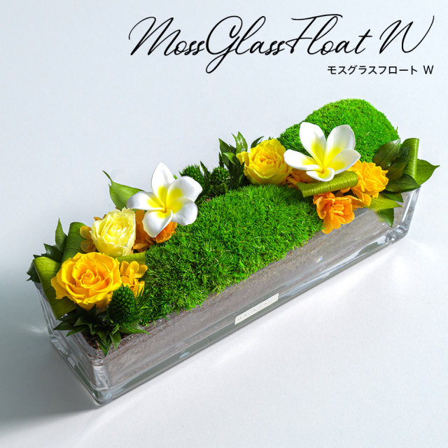 法人 開店祝い花 開業祝い花 就任祝い花 プリザーブドフラワー ヴィヴァーチェ モスグラスフロートW