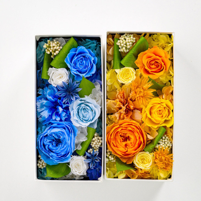 BAISER ベーゼ EN FLEUR 限定BOX ヴィヴァーチェ ボックス