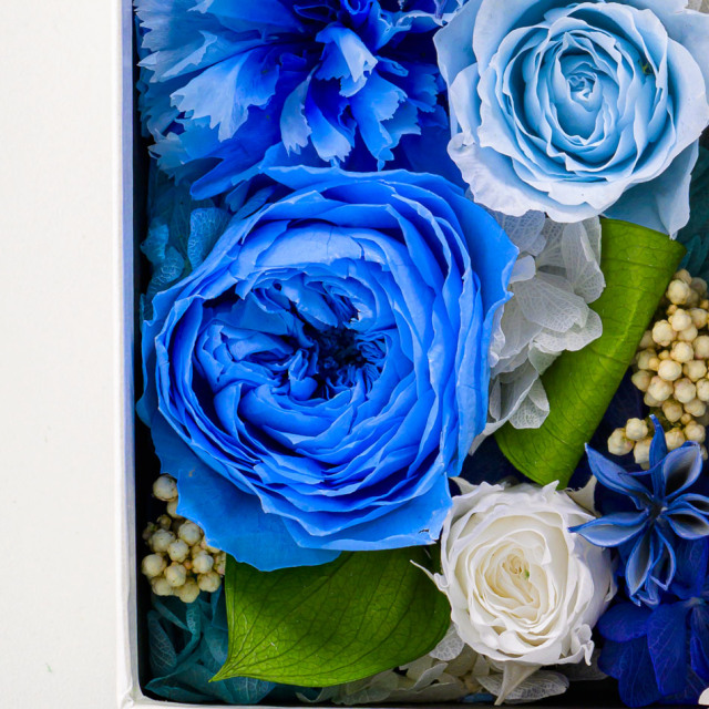 BAISER ベーゼ EN FLEUR 限定BOX ヴィヴァーチェ ボックス