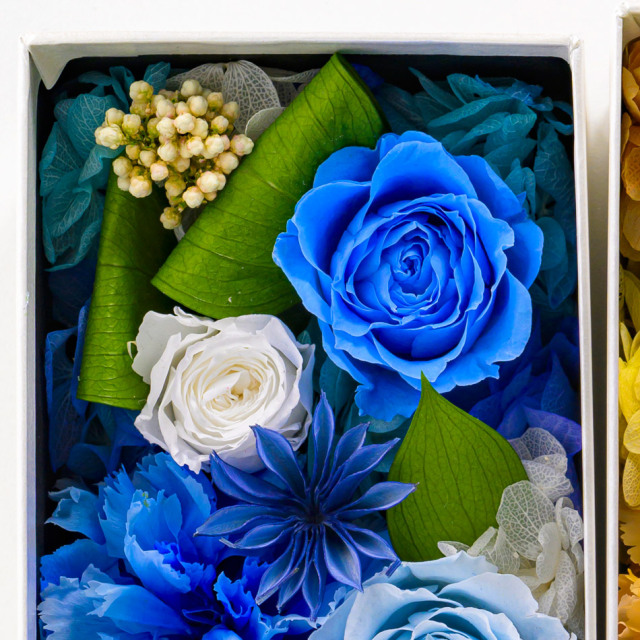 ヴィヴァーチェ ボックス