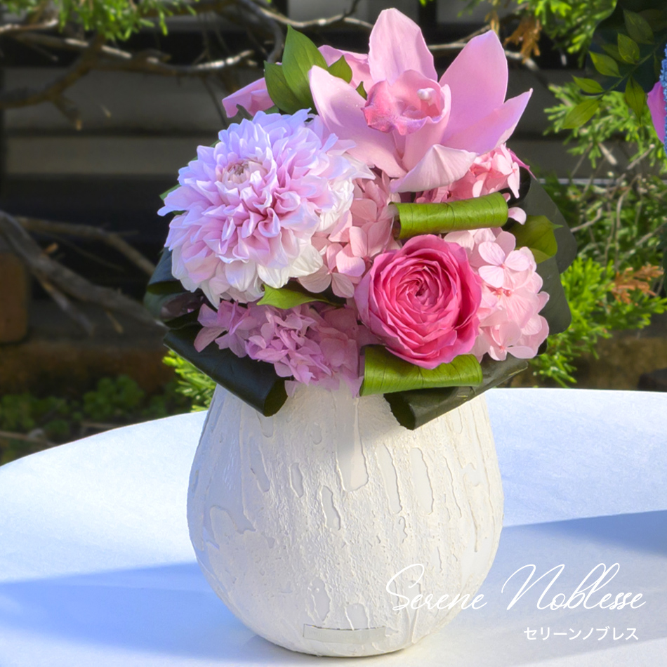 セリーンノブレス