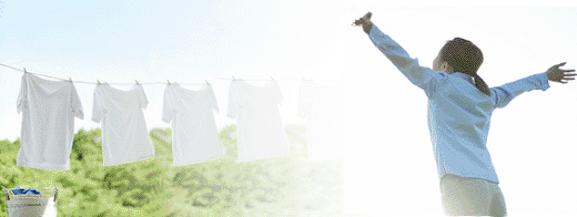 ベリタスへようこそ！洗剤と化粧品をお届けします