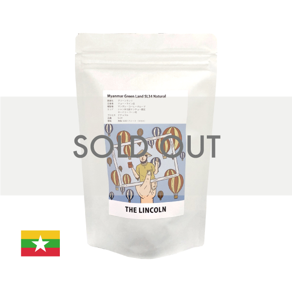 SUZUKI COFFEE　鈴木コーヒー　リンカーン6月600×600 soldout