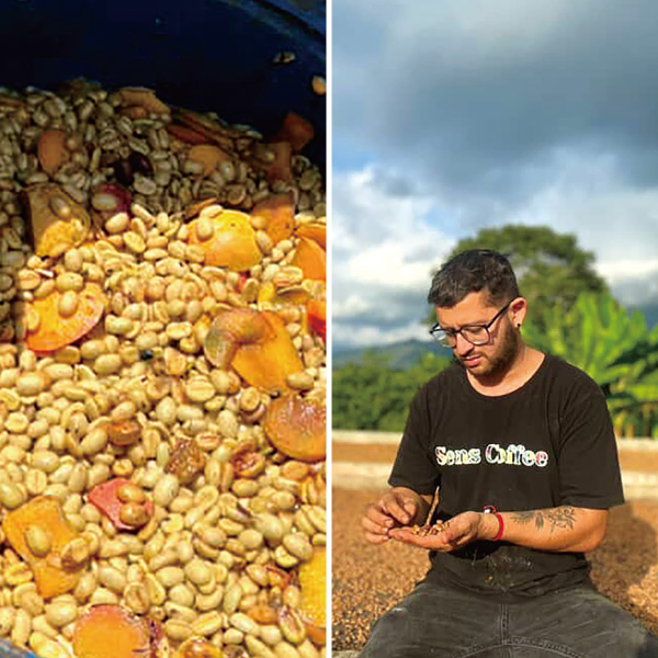 2025,ル_レクチエ,コロンビア,コーヒー豆,ルレクチエ