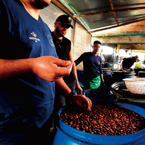 コーヒー,珈琲,数量限定,コロンビア,NewCrop,チャポレラ,アヒ,ブルボン,ライチ,ピーチ,ハイビスカス,インフューズド,100g