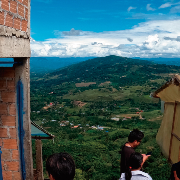 コーヒー,珈琲,数量限定,コロンビア,NewCrop,チャポレラ,アヒ,ブルボン,ライチ,ピーチ,ハイビスカス,インフューズド,100g