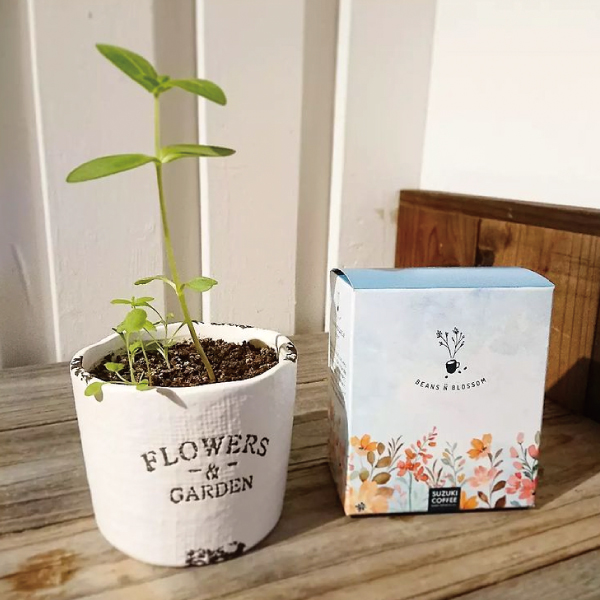 BEANS N BLOSSOM150g粉「学生考案！コーヒーの抽出カスを肥料