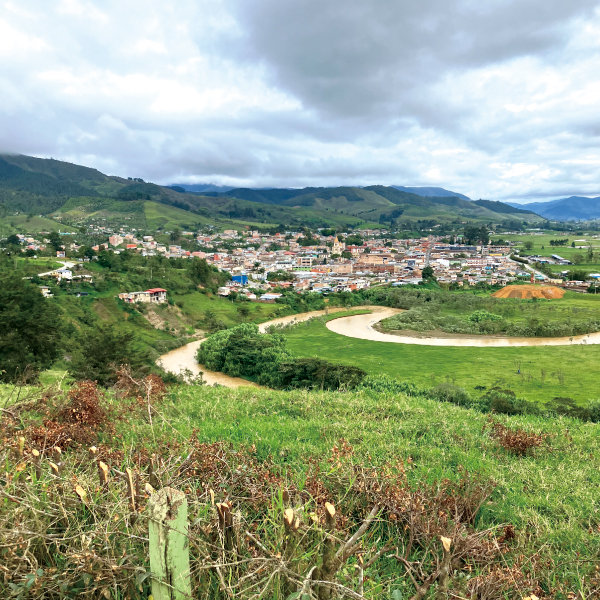 数量限定,THELINCOLN,2025年8月,NewCrop,コロンビア,ダニーロ,チローソ,フローラル,ウォッシュド