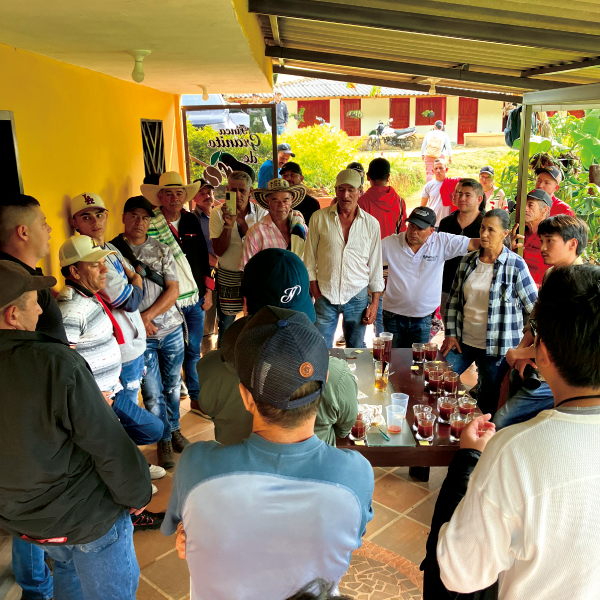 数量限定,THELINCOLN,2025年8月,NewCrop,コロンビア,ダニーロ,チローソ,フローラル,ウォッシュド