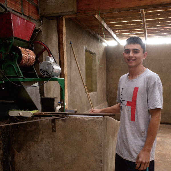 数量限定,THELINCOLN,2025年8月,NewCrop,コロンビア,ダニーロ,チローソ,フローラル,ウォッシュド