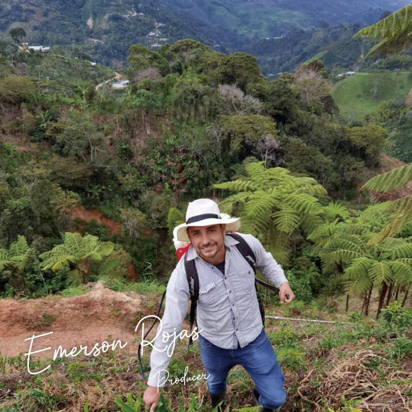 数量限定,アロマティック,コロンビア,オレンジブルボン,パシフローラ,インフューズド,100g,ウェット,ファーメンテーション