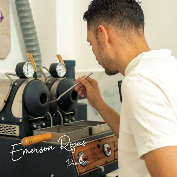 数量限定,アロマティック,コロンビア,オレンジブルボン,パシフローラ,インフューズド,100g,ウェット,ファーメンテーション