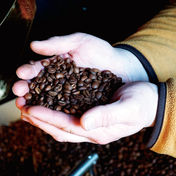 コピルアック,ジャコウネコ,運,うんこ,うんこーひー,コーヒー,珈琲,ドリップバッグ,ドリップパック,お守り,インドネシア,神社