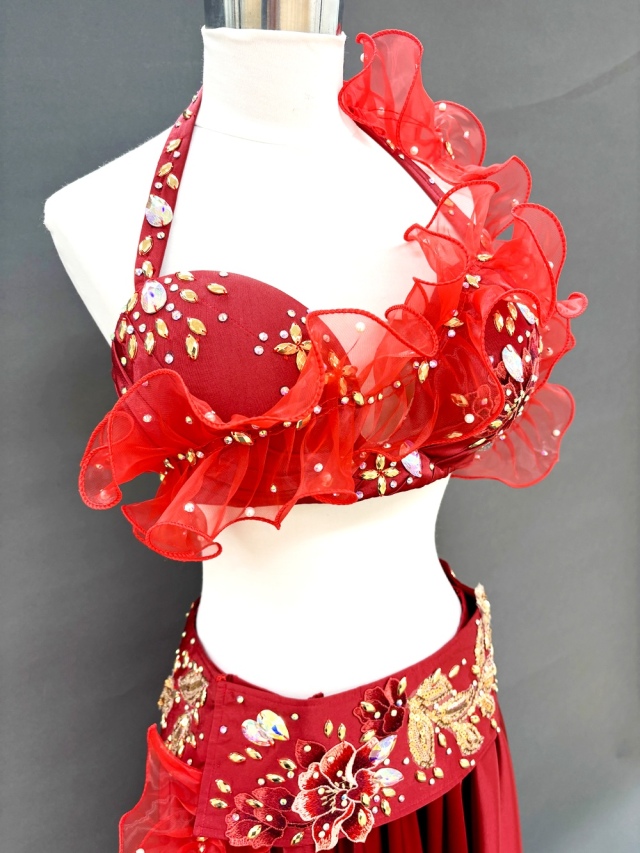 ベリーダンス　衣装　赤　マリアデザイン ベリーダンス 衣装 赤 マリアデザイン ベリーダンス 衣装 赤