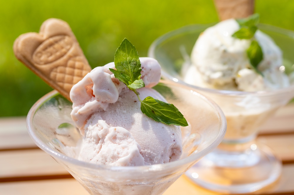 ライブウェーブ社　アラビダトリオ　クリーム（日中用1個夜用1個）パッチ2個セット ライフウェーブ アラビダパッチ&クリーム2本セット - メルカリ