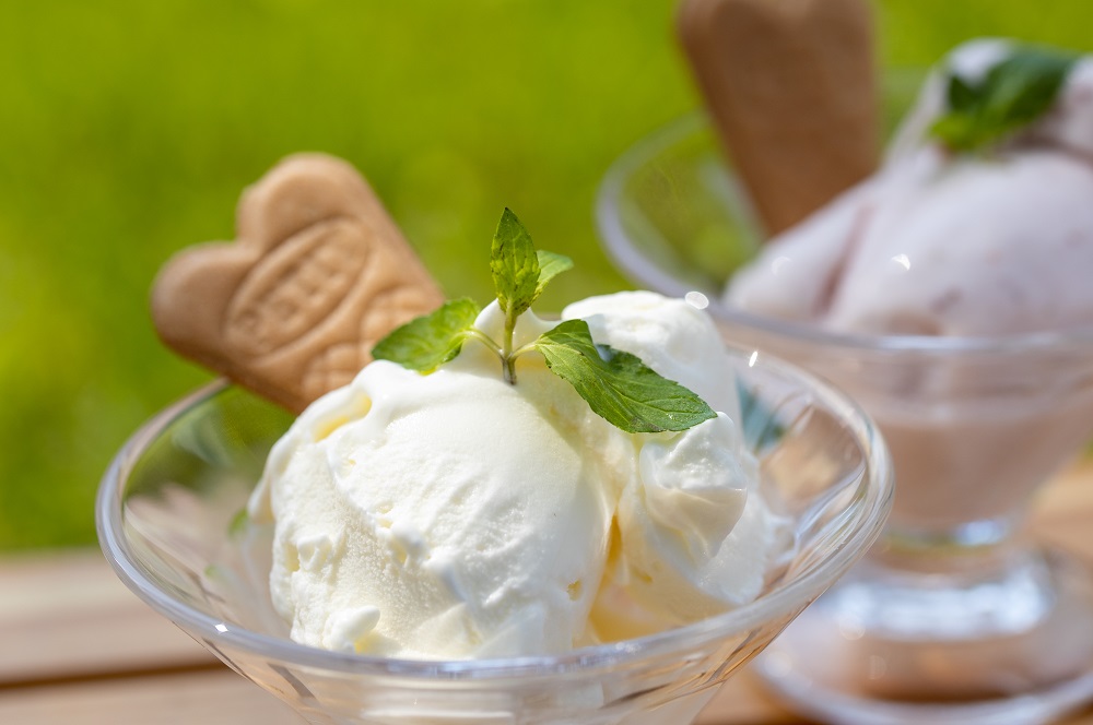 妻有のジェラートショップピオーネ ジェラート12個入りセット