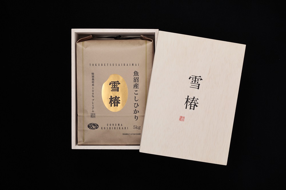 魚沼産こしひかり 雪椿米 木箱入り