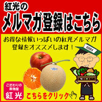 お得な情報満載!メルマガ配信登録はこちらから