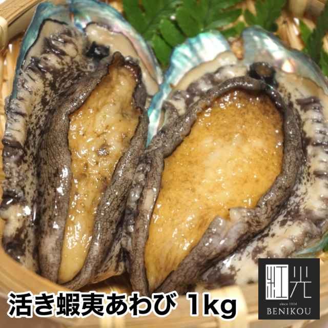活あわび 1kg ｌ 90 100g 10枚入 あわび 蝦夷あわび アワビ 鮑 活アワビ 活鮑