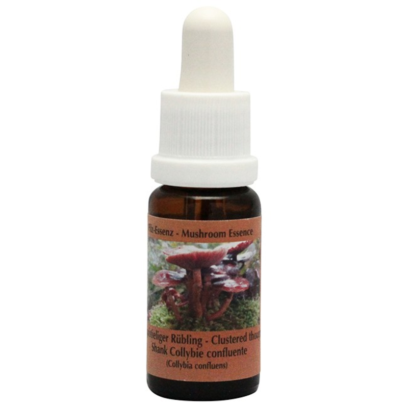 クラスタードゾウシャンク