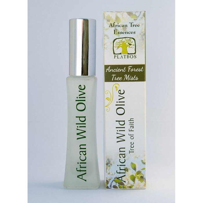 アフリカンワイルドオリーブ