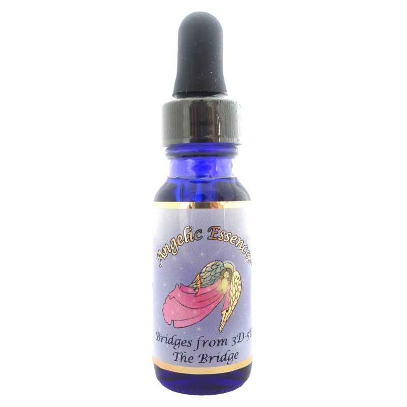 進化のサイクルを理解し、大きな視野を持つ＜アンジェリック・Kit24＞「33.ブリッジ」[15ml]