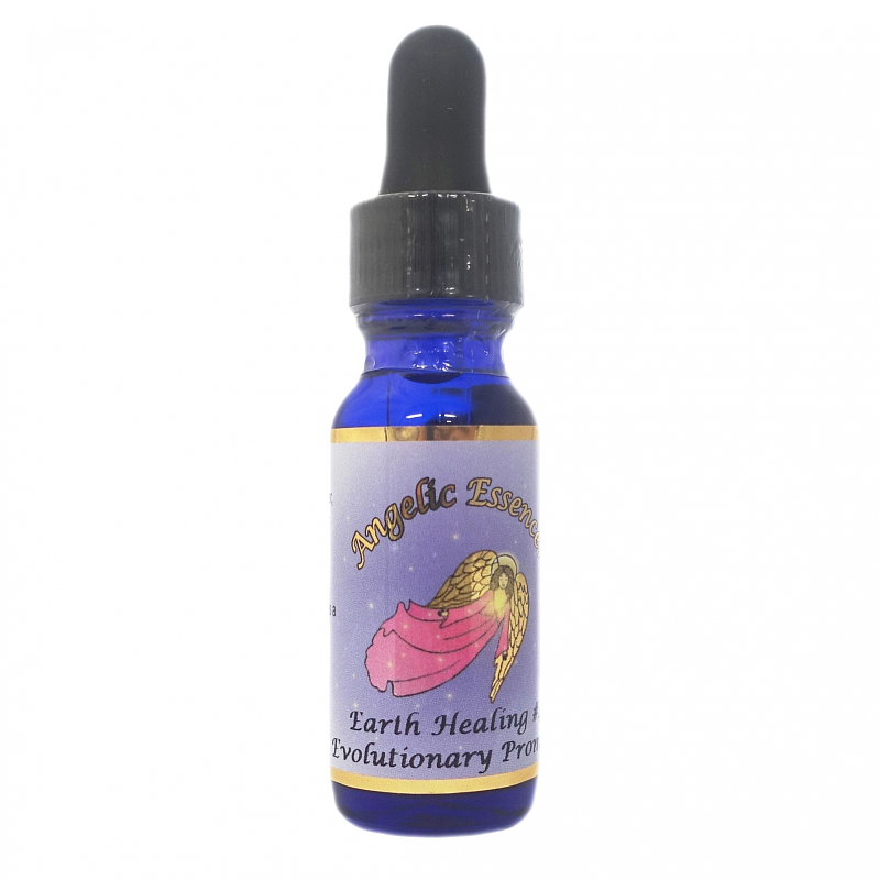 65　エボリューショナリープロミス