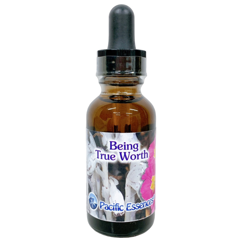 本当の自分を見つける パシフィックエッセンス ビーイングトゥルーワース フラワーエッセンスの【ベルチェレスタ】