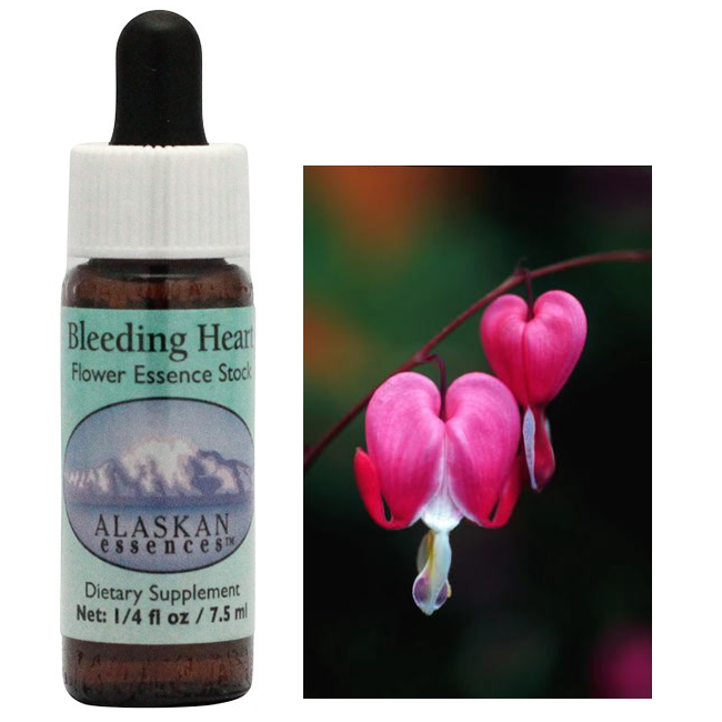 ブリーディングハート アラスカンエッセンス リサーチ・フラワーエッセンス 【ベルチェレスタ】