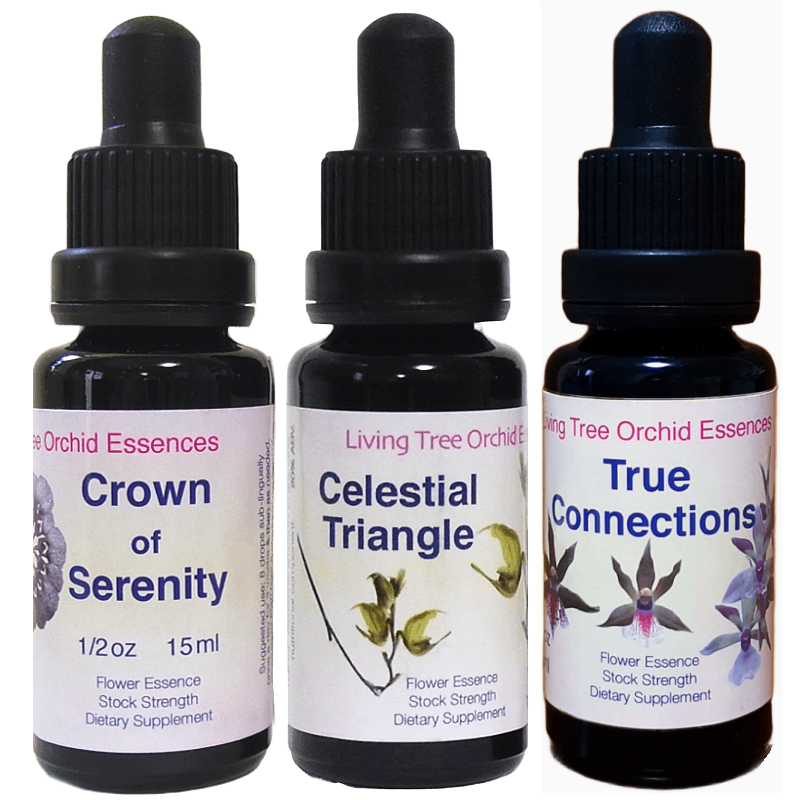 セレスティアルトリオ