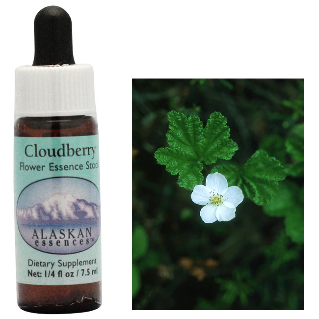 クラウドベリー