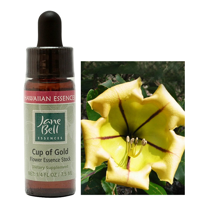 カップオブゴールド