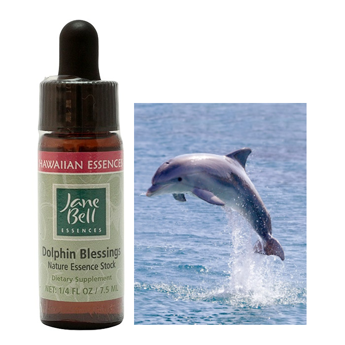 ドルフィンブレッシング