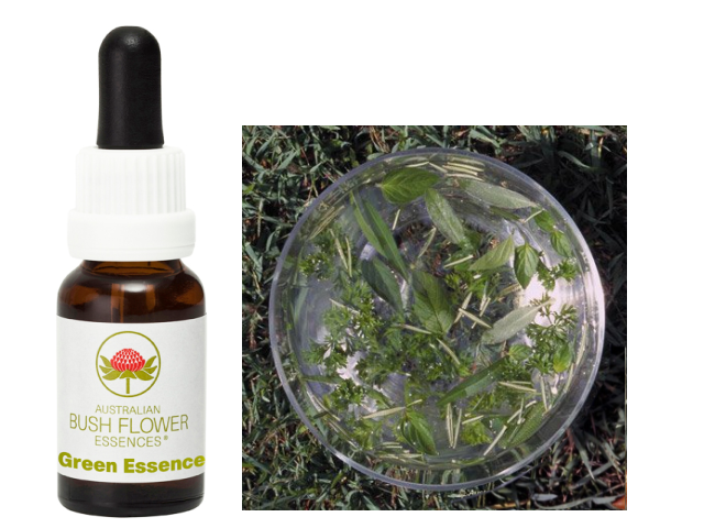 【予約品】◇オリビン(ペリドット)　コルテPHIエッセンス　フラワーエッセンス 予約品】◇オリビン(ペリドット) コルテPHIエッセンス