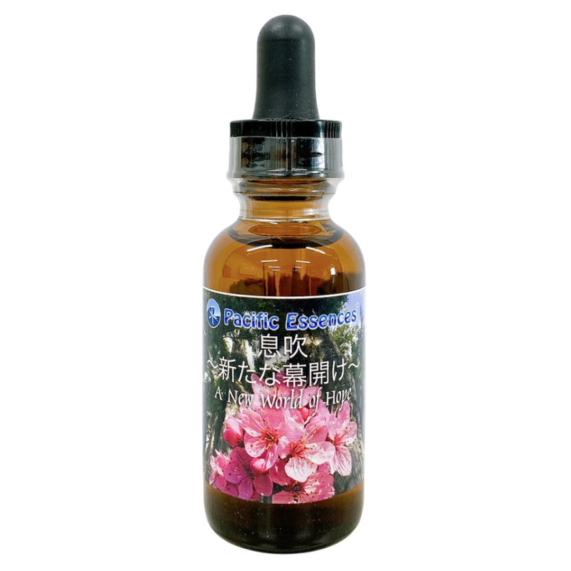 パシフィック 息吹～新たな幕開け～ フラワーエッセンスと