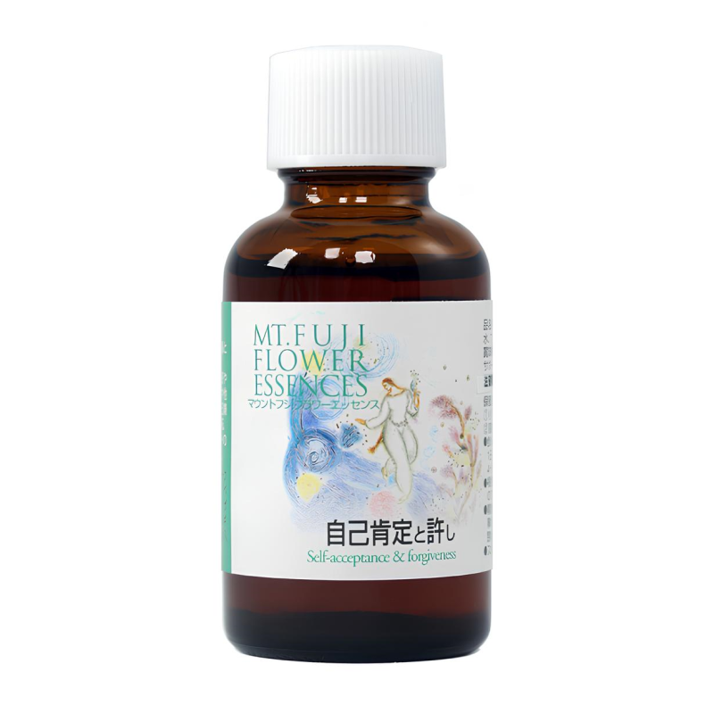 自己肯定と許しフォーミュラー