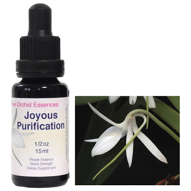 ジョイアスピュリフィケーション