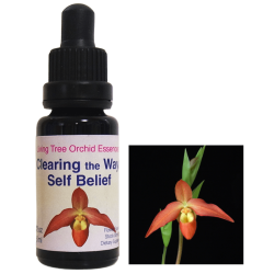 【専用】ワンサイデッドウィンターグリーン アラスカン　フラワーエッセンス　他 ワンサイデッドウィンターグリーン アラスカンエッセンス