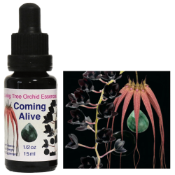 ポーテージグレーシャー アラスカンエッセンス エンバイロ