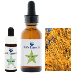 アークエンジェル・ミカエル 大天使ミカエル アンジェリックエッセンス