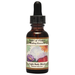 93.ヒーリング・ハート・オブ・ザ・ソウル アンジェリックエッセンス