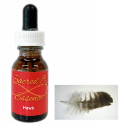 ハートスピリットエッセンス パシフィックエッセンス 世界の