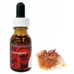 パワーオブフラワーヒーリング パーパスアンドデスティニー