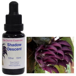 フラワーエッセンス　8本 ジャストセンター リビングトゥリーオーキッドエッセンス（LTOE