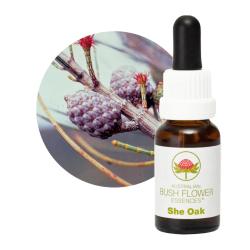 専用】サイキックプロテクションペンダント（パープル）ブッシュ　フラワーエッセンス サイキックプロテクションペンダント(パープル・子供用)[Psychic