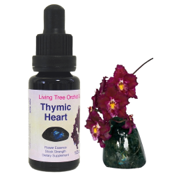 予約品】#167 リペアリングザDNA アンジェリック フラワーエッセンス