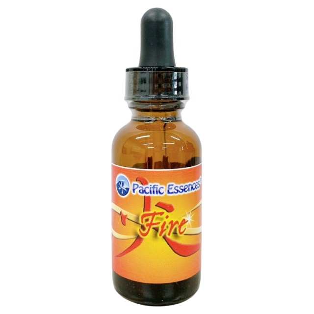 ファイブエレメント　火　ファイアー