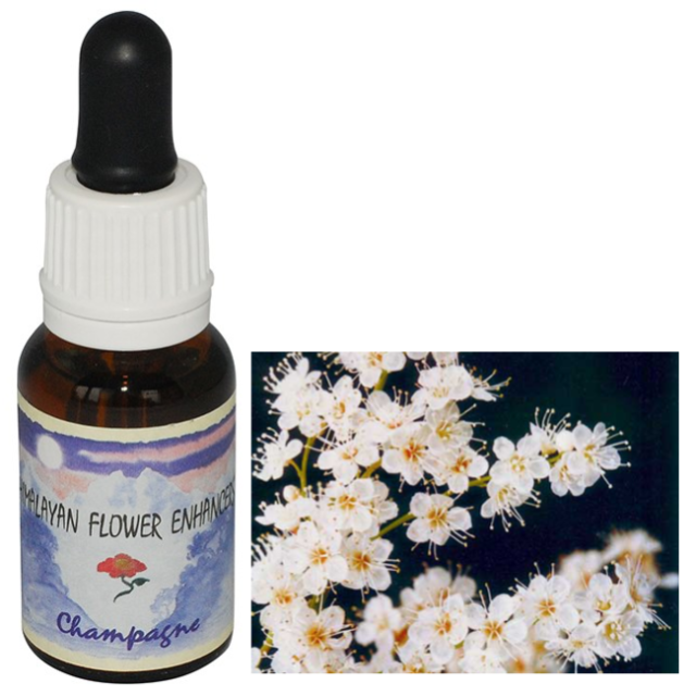 タントリックナイト フォーウーマン ヒマラヤンエンハンサーズ